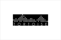 tortoise